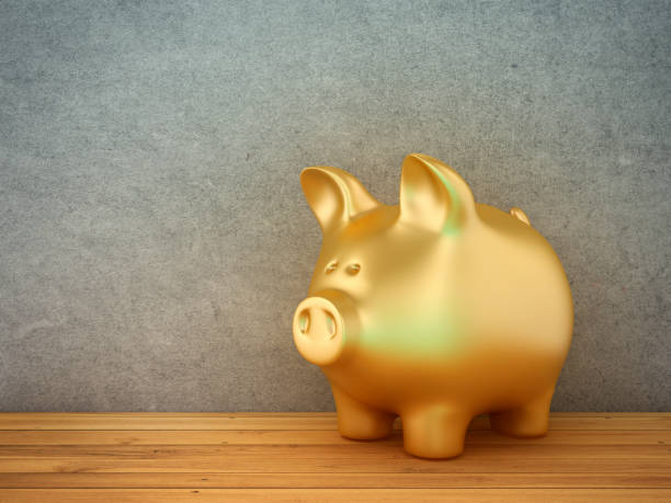 istock Piggy Bank 1692062249