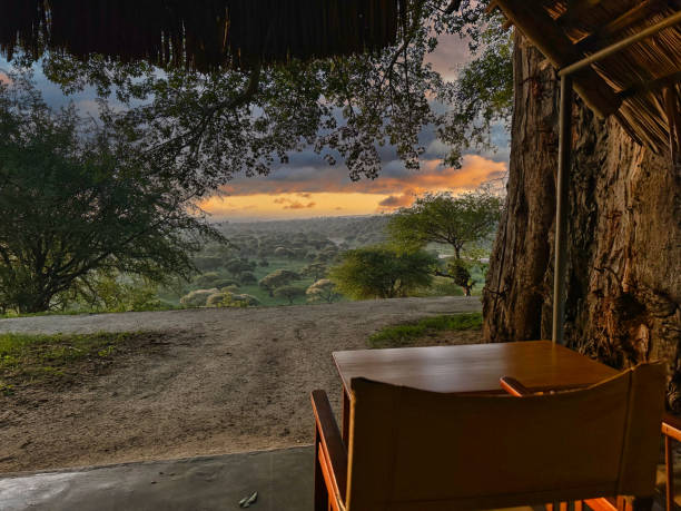 istock View from camp tent of Tarangire river and park 1692096420
