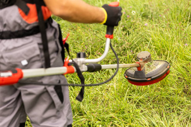 istock Rear view of professional gardener cutting grass with weed trimmer. 1692101063