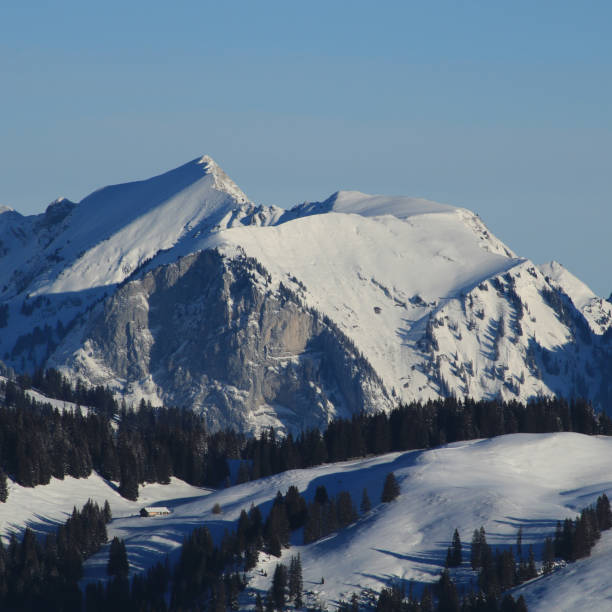 заснеженные горные хребты близ цвайзиммена. - bernese oberland gstaad winter snow стоковые фото и изображения