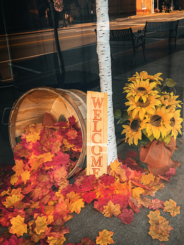 Fall leaves are spilling out of a wooden basket. There is a welcome sign and a sunflower arrangement. There is a birch bark tree trunk. This window display reflects the main street of a small town.