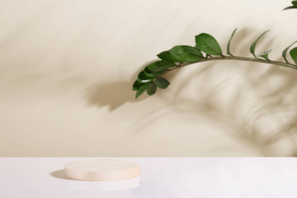 istock Eco rustic pine tree wood disc platform podium and tropical leaf on light and shadow copy spase background. Minimal empty display product presentation scene 1692140602