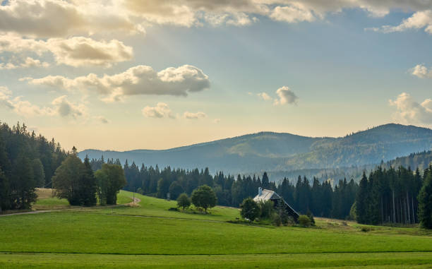 istock Black Forest landscape near Titisee-Neustadt Germany 1692147442
