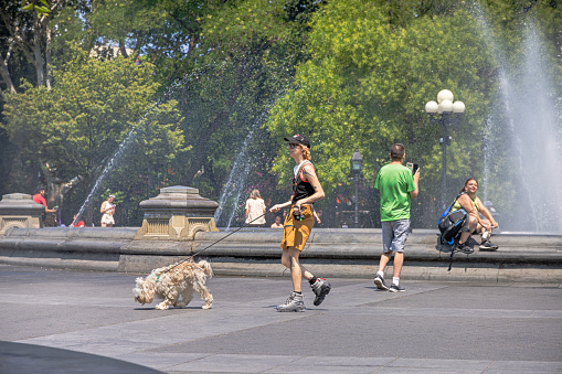Washington Square Park, Manhattan, New York, USA - August 9th 2023:  Woman walking her dog in front of tourists taking pictures of each other and the fountain