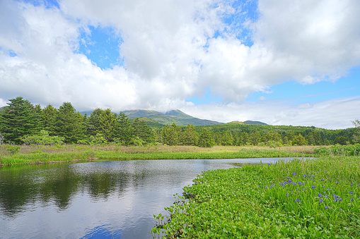 Minamihama wetland in Rishiri
