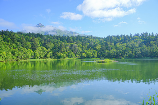 Beautiful lake (Jannersee) in Vorarlberg, Austria with perfect reflections of the trees and clouds in the water and some reed and water lily in the foreground