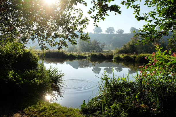 istock Ripples and morning light along the River Wey in Guildford, Surrey, UK 1692150905