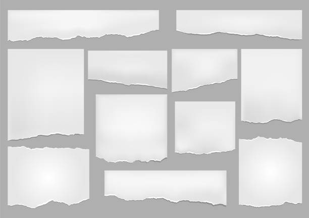 satz von länglich zerrissenen papierfragmenten isoliert auf weißem hintergrund - newspaper stock-grafiken, -clipart, -cartoons und -symbole