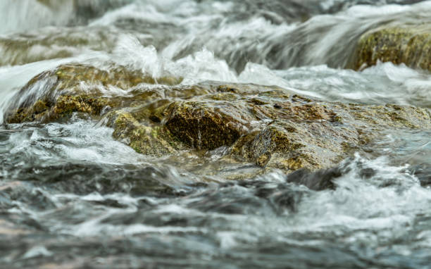 istock Rapid spring river flowing over rocks forming white water waves, closeup detail - abstract nature background 1692151478