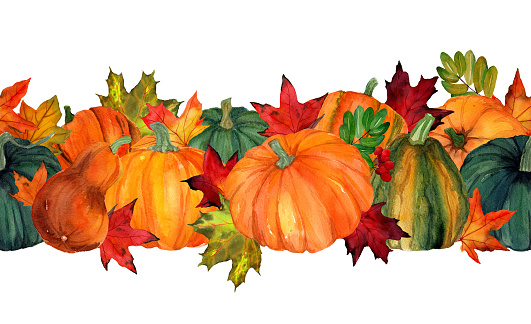 Watercolor draw of maple leaves and pumpkins in seamless border. Horizontal frame with orange and green pumpkins isolated. Design for letter, card, covers. Thanksgiving day template.