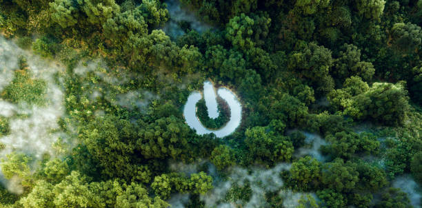 istock A power switch icon as a water oasis in a dense forest, embodying nature's force, green energy, and tech's mindful role in nature preservation. 3d render. 1692156242
