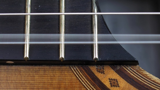 Guitar neck with copy space.