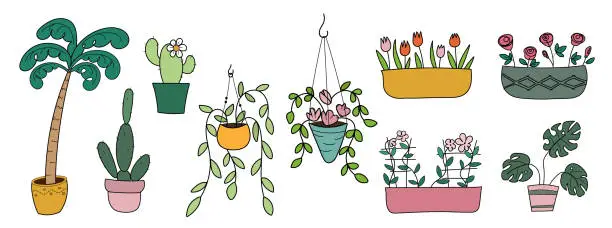 Vector illustration of Set of indoor plants on a white background