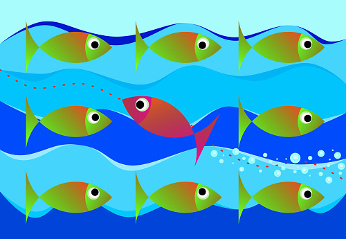 Swimmming against the tide or standing out from the crowd - concept image with fish goes in the opposite direction to the group.