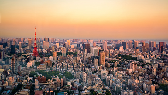 panoramic, tourist attractions in the city park of Tokyo, Asia business concept image, panoramic modern cityscape building in Japan.