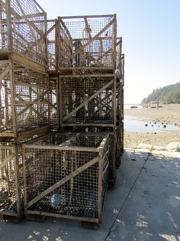 Stacked oyster cages at the coast of Samish Bay, Washington State, USA