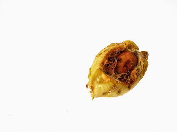 istock Seeds of rotten durian 1692222091
