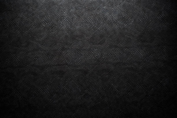 black snake skin texture