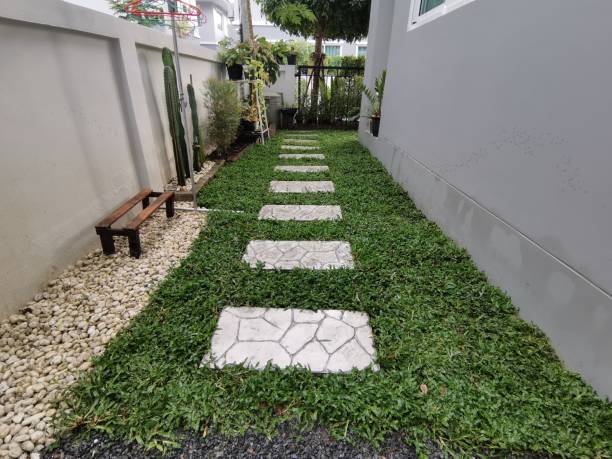 istock Garden next to the house 1692233817
