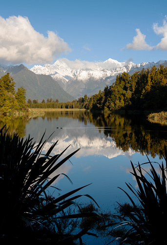 The spectacular mirror lake that is Lake Matheson on New Zealand's South Island, beyond which we see the snow capped peaks of Mt Tasman, Mt Cook and the Southern Alps.