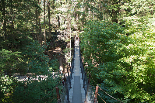 Beautiful view of Capilano Suspension Bridge Park in Vancouver, Canada