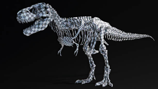 istock Trannosaurus Rex Sue Skeleton render of background. 3d rendering 1692235843