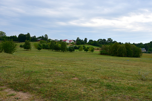 A view of a field, meadow or pastureland located next to a vast yet shallow river with a sandy coast and a dirt path leading to it with some birds and boats visible in the background in Poland