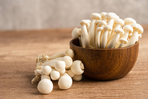 istock Shimeji, Fresh white bunapi mushroom from Asia. 1692245020