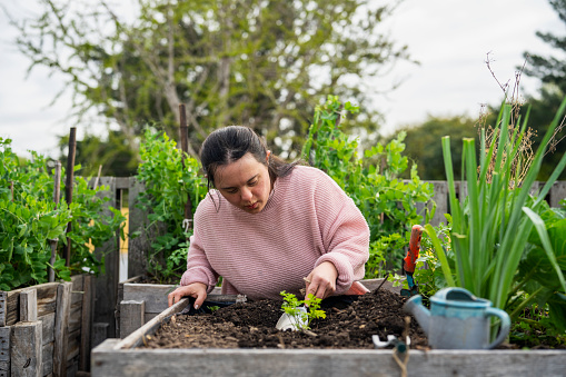 Front view of woman with down syndrome planting on garden during daytime at outdoor garden