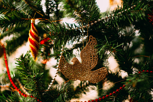 Close-up Christmas Ornament