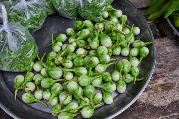 istock Fresh eggplant for sale at market stall 1692276338