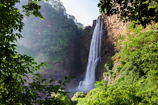 Laxapana Falls is 126 m high and the 8th highest waterfall in Sri Lanka and 625th highest waterfall in the world.