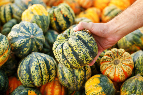 istock beautiful bright ripe pumpkin in hand close-up 1692309775