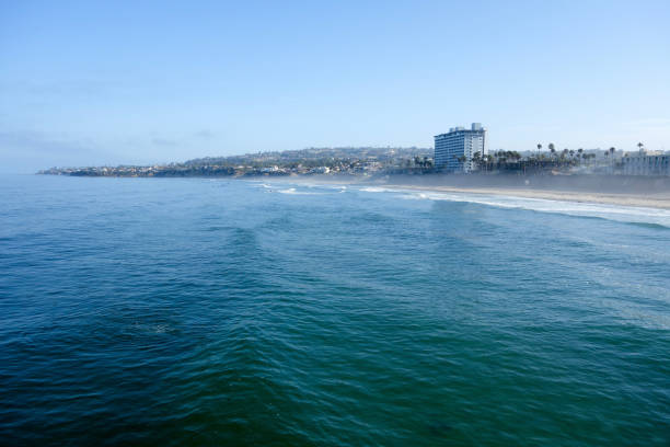 nordseite von pacific beach, san diego, kalifornien - sunbathing surf sea pacific ocean stock-fotos und bilder