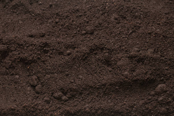 istock Black land for plant background. Top view. 1692317001