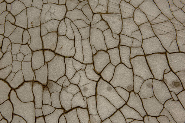 Drought. Dry soil.