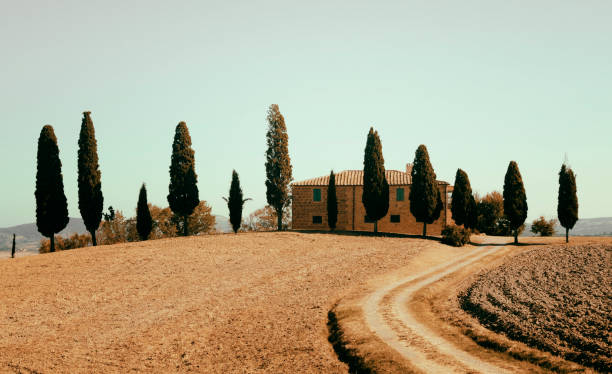 istock Farmhouse and Cypress Trees. 1692319083