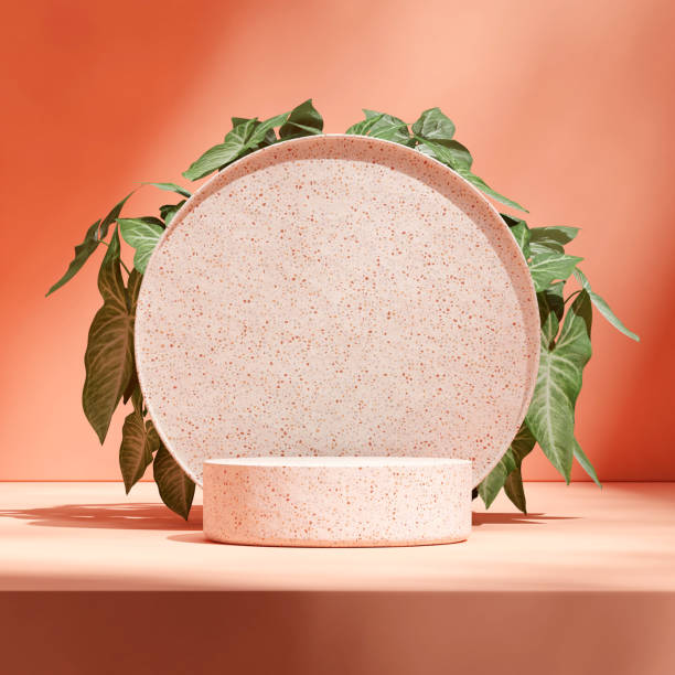 istock terrazzo cylinder podium in square salmon red wall and green leaf, 3d render image blank mockup 1692329408