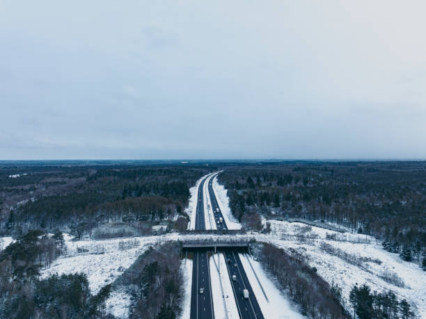 istock Wildlife overpass over a highway through a snowy forest landscape seen from above 1692336535