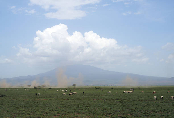 Volcano Oldonyo Len'gai - Natron Lake - Tanzania
