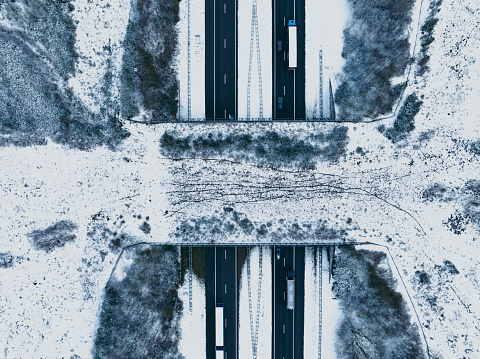 Wildlife overpass animal crossing over a highway through a snowy forest landscape seen from above with cars and trucks driving on the black asphalt and animal tracks in the snow visible on the bridge.