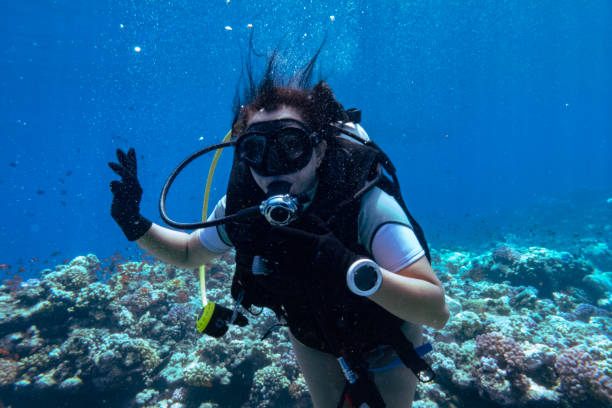istock Female scuba diver on a ship wreck, Yanbu, Saudi Arabia 1692340627