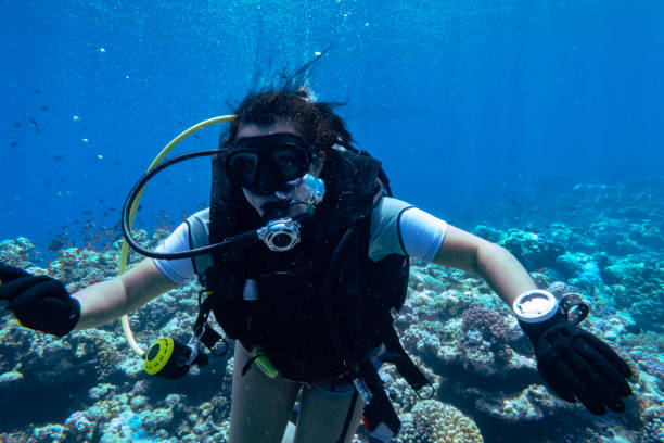 istock Female scuba diver on a ship wreck, Yanbu, Saudi Arabia 1692341193