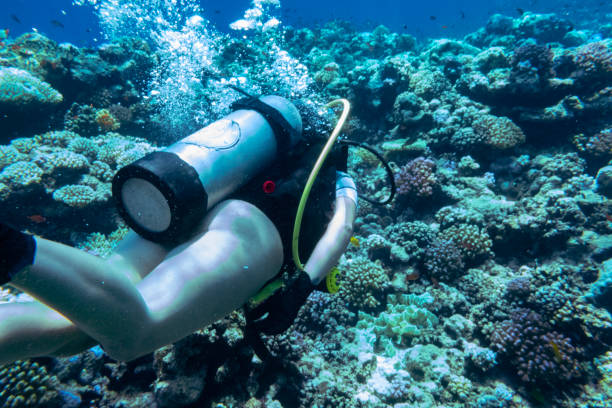Female scuba diver on the wreck of the Iona ship in the red sea offshore from Yanbu, Saudi Arabia