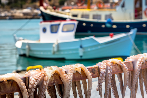 Traditional greek sea food, octopus, drying in the sun, Lipsi island, Dodecanese, Greece.
