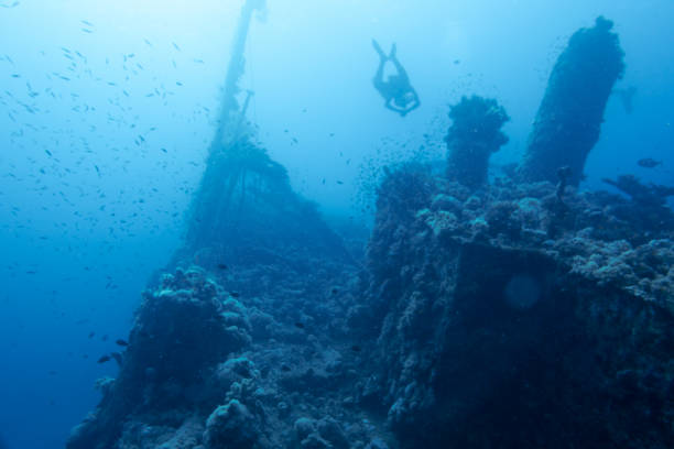 istock Scuba divers on a ship wreck, Yanbu, Saudi Arabia 1692347506
