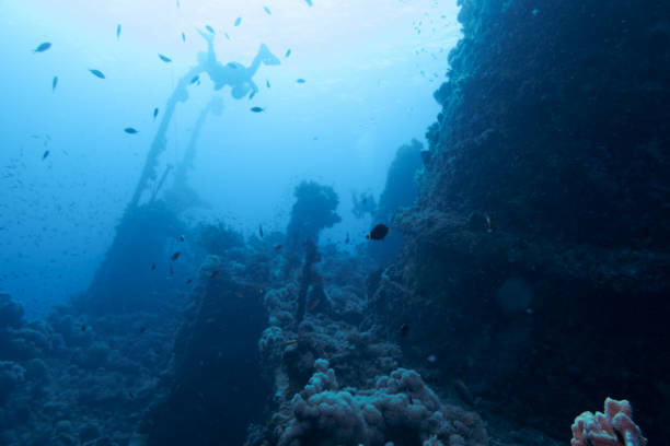 istock Scuba divers on a ship wreck, Yanbu, Saudi Arabia 1692348058