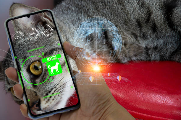 istock Concept of using artificial intelligence to find lost or lost pets, using search applications 1692355097