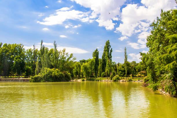 istock Lake with vegetation reflected in the 1692359696