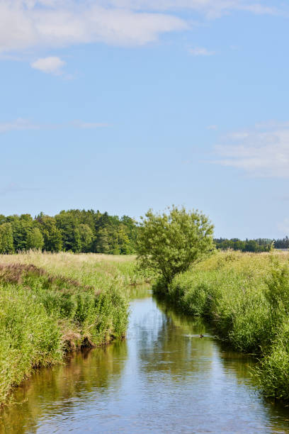 istock big field with a lake 1692359752